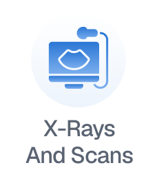 X-Rays And Scans